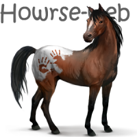 Španělský Mustang  